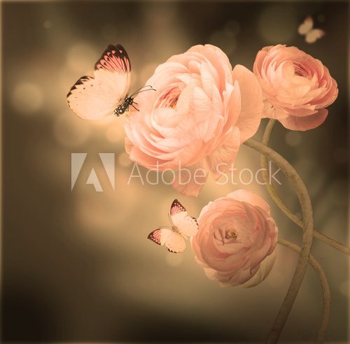 Fototapeta Bukiet róż wśród motyli 