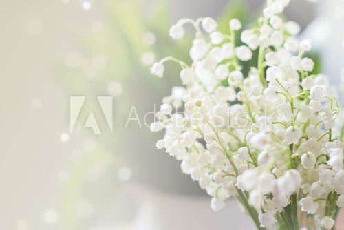 Fototapeta Delikatność liliowych kwiatów 