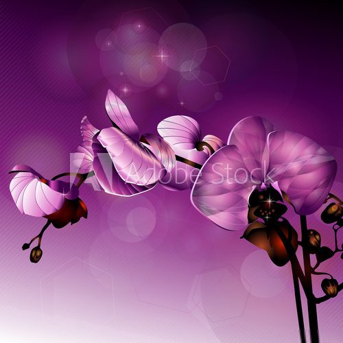 Fototapeta Geometryczna orchidea 