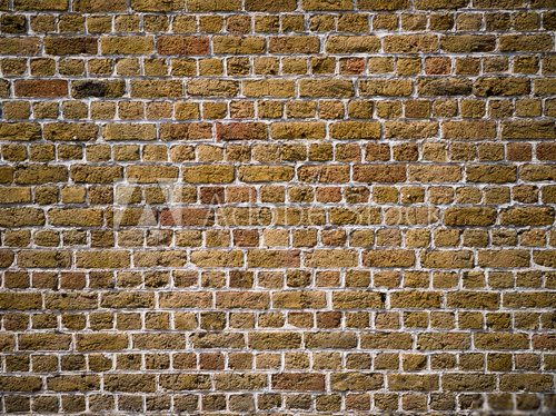 Fototapeta Grungy Brick Wall