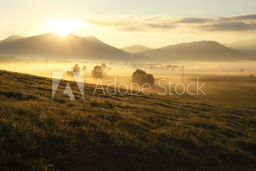 Fototapeta Jesienny poranek skąpany we mgle