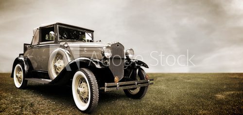 Fototapeta Klasyczna elegancja na tle bezkresnej łąki