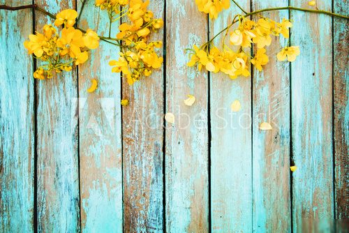 Fototapeta Kolor żółty kwitnie na rocznika drewnianym tle, rabatowy projekt. odcień rocznika - kwiat koncepcja tło wiosna lub lato