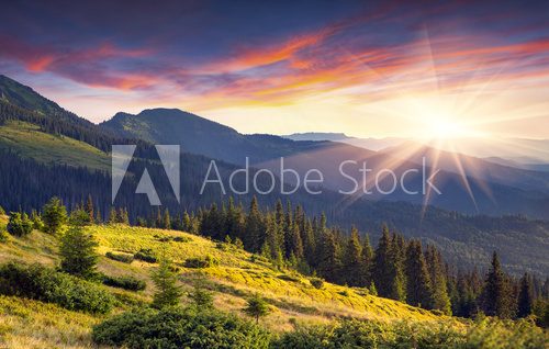 Fototapeta Kolorowy poranek jesienią w górach