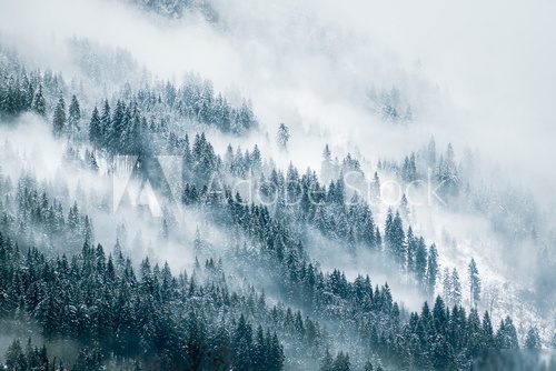 Fototapeta Krajobraz mgły