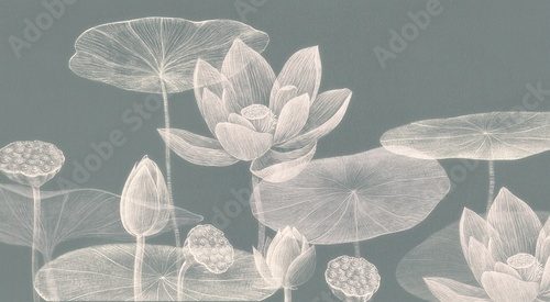 Fototapeta Kwiat i liść lotosu. Sztuka natury. Rysunek dzieła sztuki. Tło botaniczne.