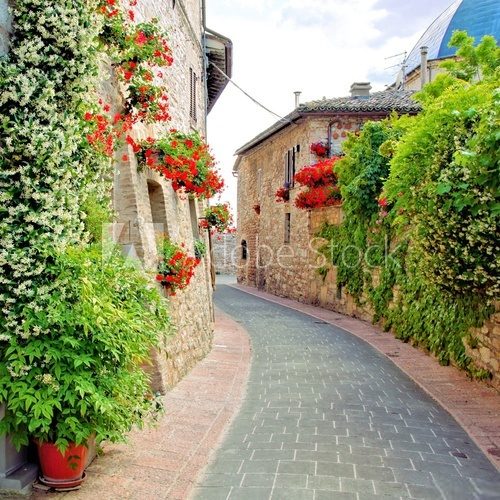 Fototapeta Kwiat prążkowana ulica w miasteczku Assisi, Włochy