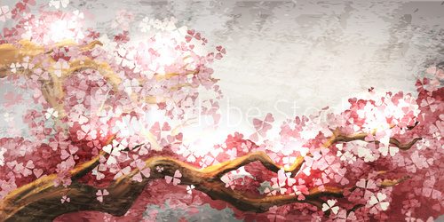 Fototapeta Kwitnąca gałąź Sakura