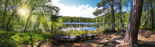 Fototapeta LeÅna panorama nad brzegiem jeziora