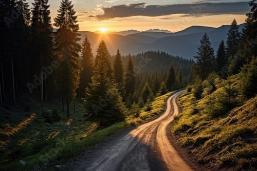 Fototapeta Leśna droga w blasku zachodu