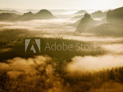 Fototapeta Magiczny świt w jesienny mglisty krajobraz.