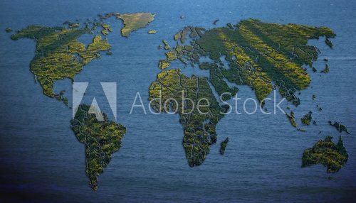 Fototapeta Mapa świata wypełniona trawą na tle wody