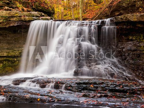 Fototapeta McCormick's creek Falls in Fall