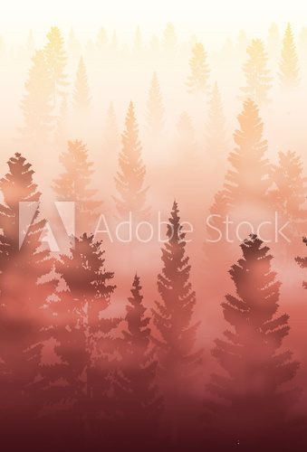 Fototapeta Mglista aura poranka w sosnowym lesie