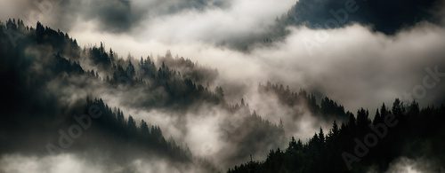 Fototapeta Mglisty zew górskiego lasu