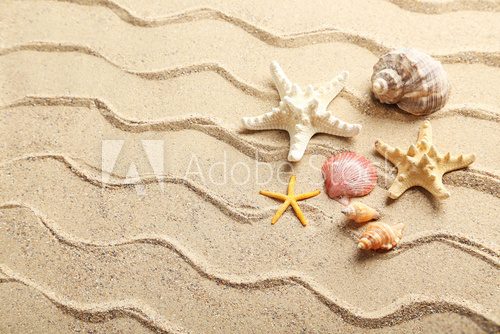 Fototapeta Morze skorupy na plażowym piasku