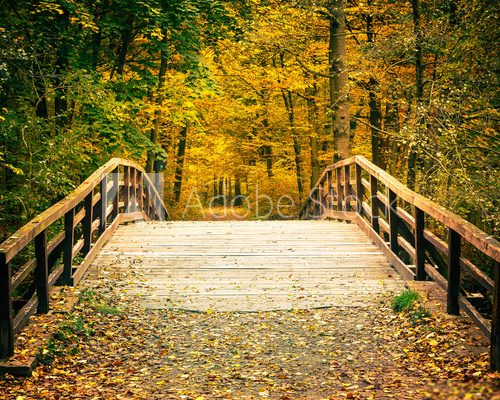 Fototapeta Most w parku jesienią