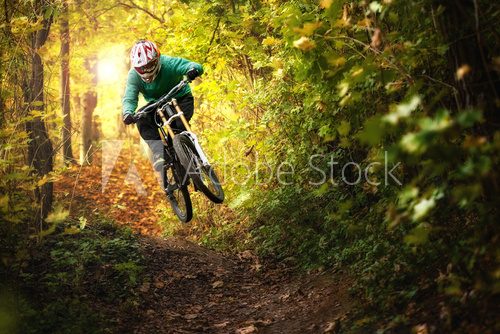 Fototapeta Mountainbiker jeździ w lesie jesienią