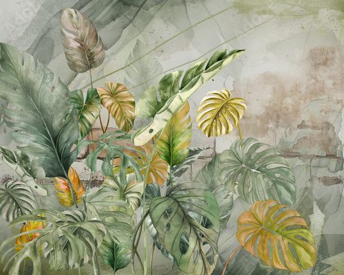 Fototapeta naturalne zielone liście Monstera Deliciosa