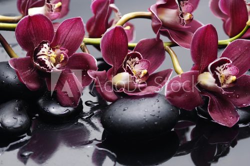 Fototapeta oddział czerwona orchidea z kamieniami terapii