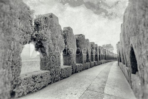 Fototapeta Ogrody z Generalife retro