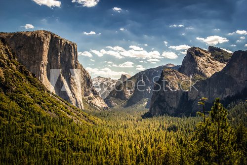 Fototapeta Park Narodowy Yosemite w Kalifornii