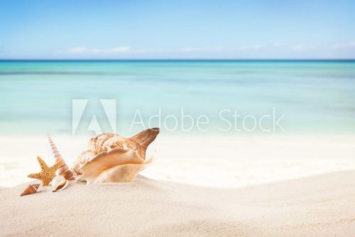 Fototapeta Piaszczysta plaża z czystym papierze dla tekstu