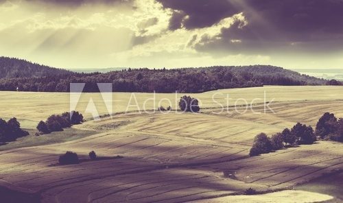 Fototapeta Piękny krajobraz z pola i wzgórza stylu vintage