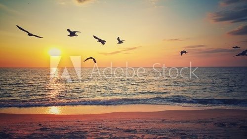Fototapeta Piękny wschód słońca nad plaży i latające ptaki