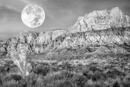 Fototapeta Pustynne góry w noc pełni księżyca
