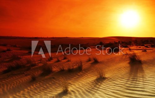 Fototapeta Pustynny piasek w blasku słońca
