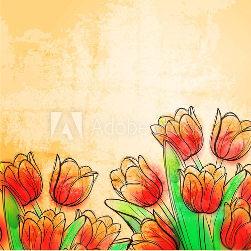 Fototapeta Retro tulipany akwarela
