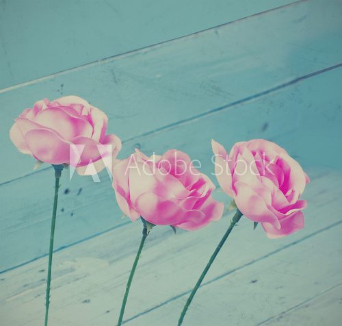 Fototapeta Rocznik róż dekoracja na błękitnym drewnianym tle, instagram styl