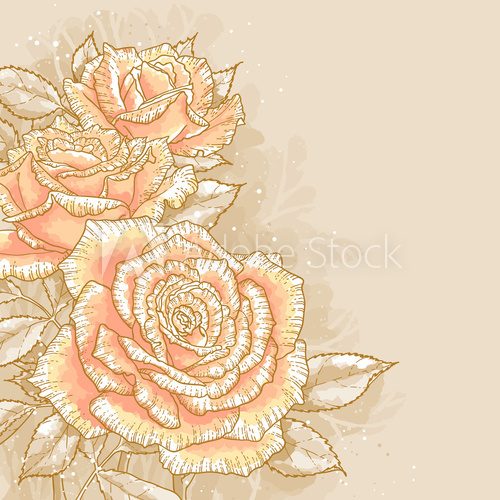 Fototapeta Różowe róże na stonowanym tle