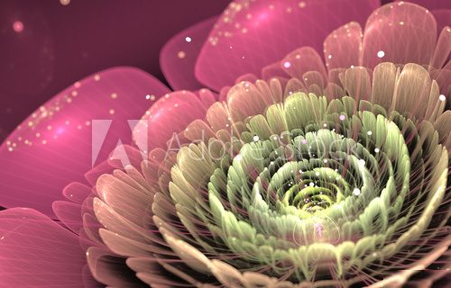 Fototapeta różowy i zielony fraktal kwiat
