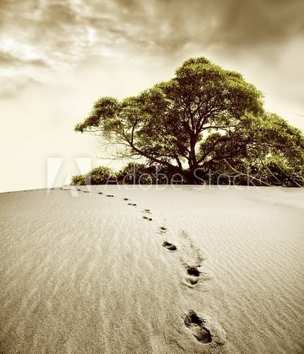 Fototapeta Ślady stóp na pustynnym piasku