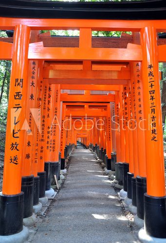 Fototapeta Sławne jaskrawe pomarańczowe torii bramy Fushimi Inari Taisha świątynia