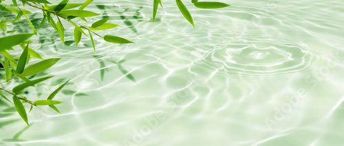 Fototapeta Spokojna zieleń i refleksy wody