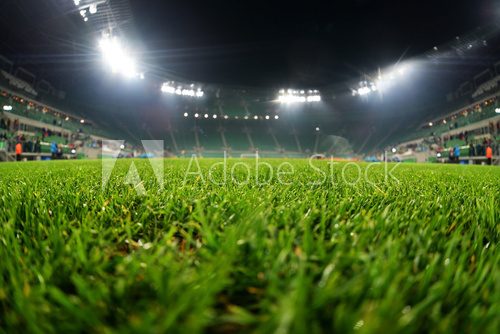 Fototapeta stadion, z bliska na trawie