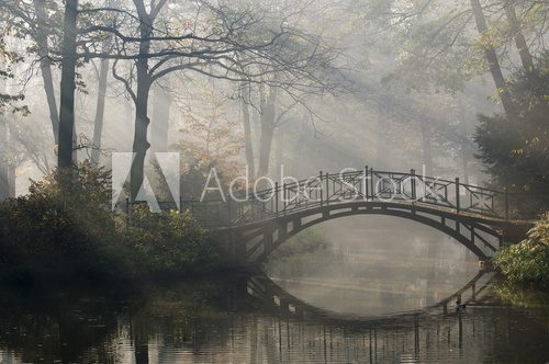Fototapeta Stary most w mglistym jesień parku