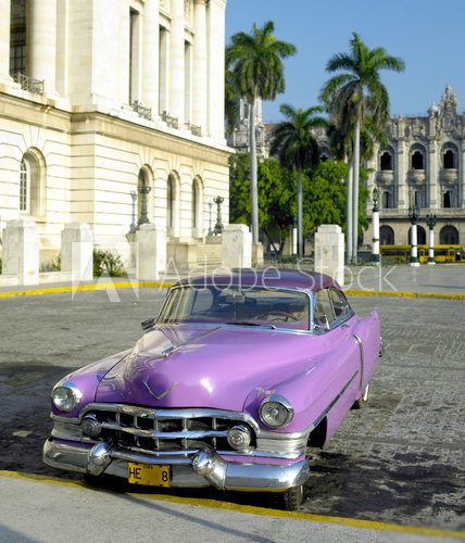 Fototapeta stary samochód przed budynek Kapitolu, Stara Hawana, Kuba