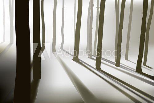 Fototapeta tajemniczy las