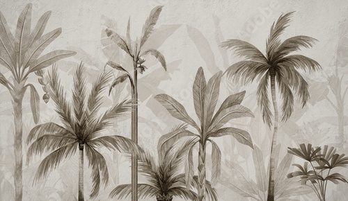 Fototapeta Tapeta z tropikalną palmą w kolorze beżowym
