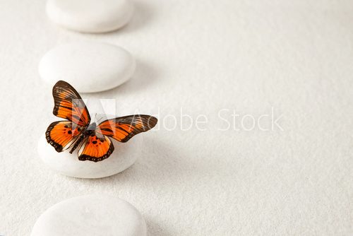Fototapeta Tło z skałami i motylem