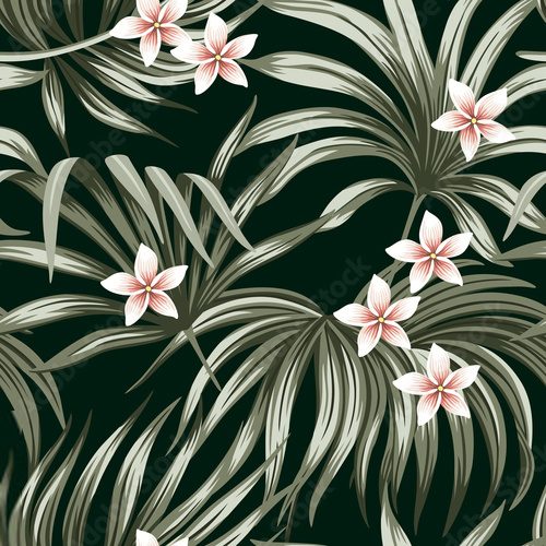 Fototapeta Tropikalny rocznika kwiat plumeria kwiatowy palma pozostawia bezszwowy wzór czarne tło. Egzotyczna tapeta z dżungli.
