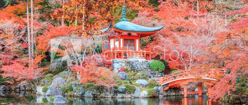 Fototapeta Urlop zmienia kolor czerwony w Świątyni w Japonii.