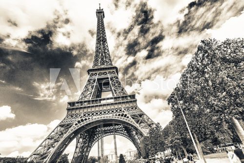 Fototapeta W monochromatycznym Paryżu