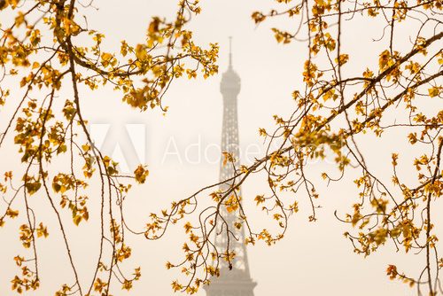 Fototapeta Wieża Eiffla we Francji