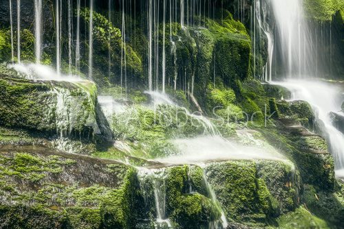 Fototapeta Wodospad Tasmanian