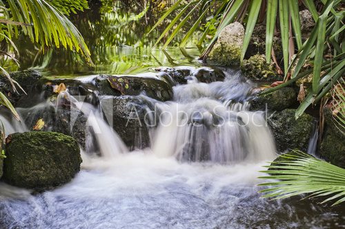 Fototapeta Wodospad w strumieniu tropikalnym